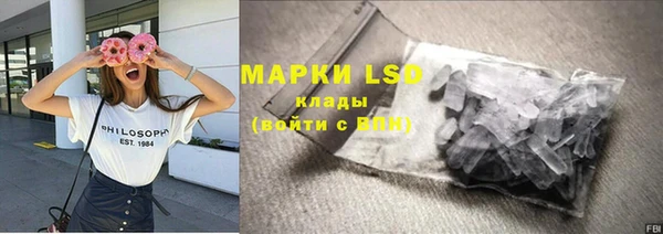 прущий лед Алзамай