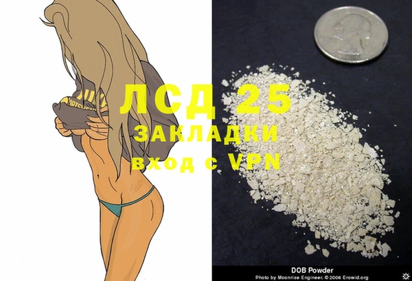 прущий лед Алзамай