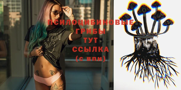 прущий лед Алзамай